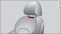 Fahrersitz: Luftaustrittsdüsen für Kopfraumheizung